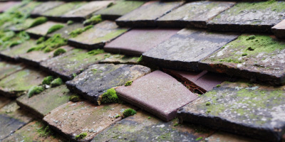 Aberporth roof repair costs